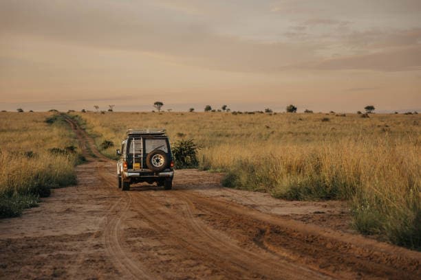 12 DAYS OF WILDLIFE AND ADVENTURE IN UGANDA